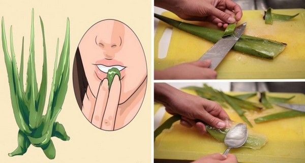 Qu'est-ce que l'Aloe Vera-t-elle dans votre corps: Pourquoi les Egyptiens l'appelaient l'usine de l'Immortalité