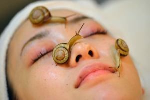 Snail Mucus Pour Belle Et une peau plus jeune ???