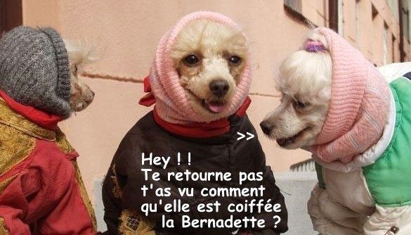 un grand moment d'ironie.