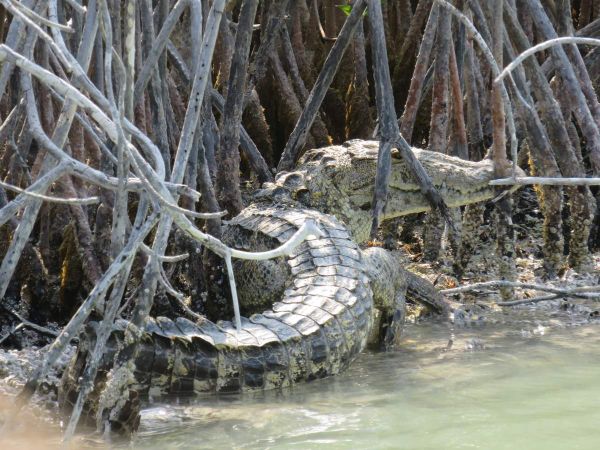 Réserve Sian Ka'an - Tulum