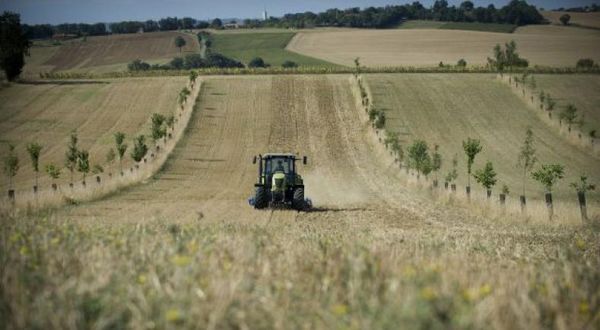 Agroforesterie