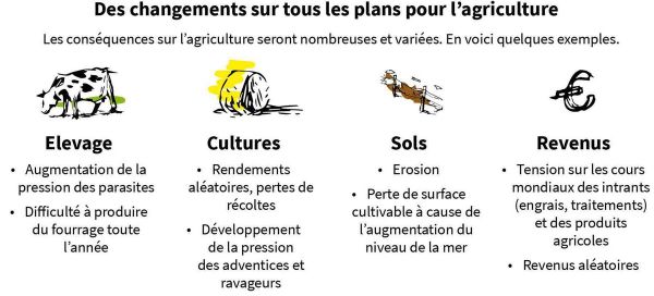 Gaz à effet de serres et agriculture en Bretagne, pourquoi il faut réduire nos productions animales...en installant de nombreux agriculteurs