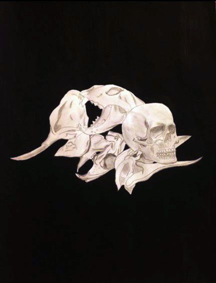 Skulls (crayon Hb, gouache sur papier / 50 cm x 65 cm)