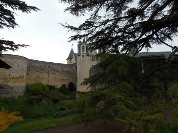 rencontres naturalistes pays de la loire