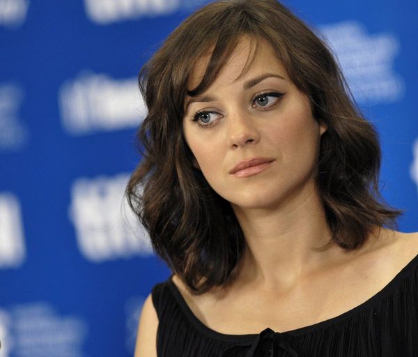 Divorce Angelina jolie Brad Pitt : Marion Cotillard confirme sa grossesse et dément les rumeurs de relation avec Brad Pitt