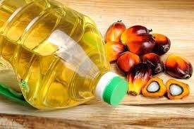 EMERGENCE: ECO-OIL ENERGIE SA, une société congolaise au coeur de l'Afrique qui a le vent en pourpe.