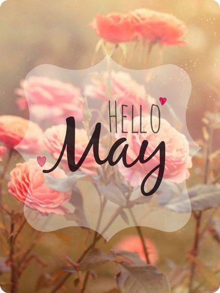 Hello May