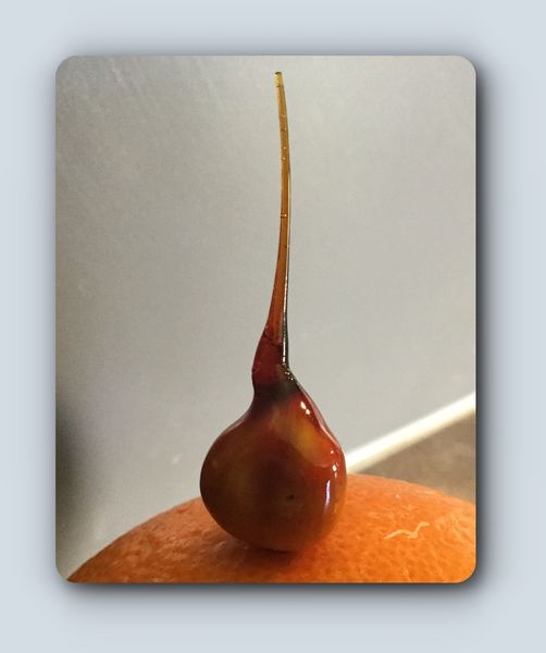 Noisettes caramélisées