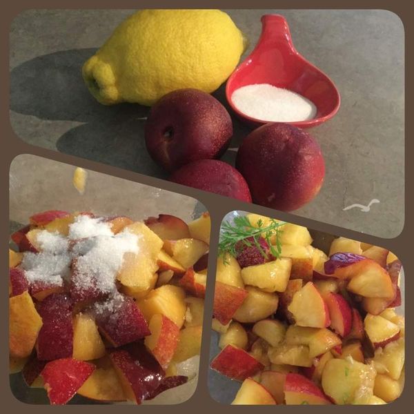 Verrines de nectarines coriandre, noix cristallisées et Chantilly