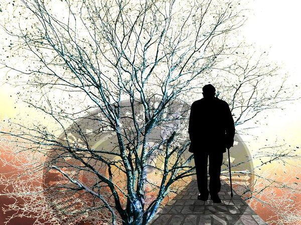 La maladie d'Alzheimer