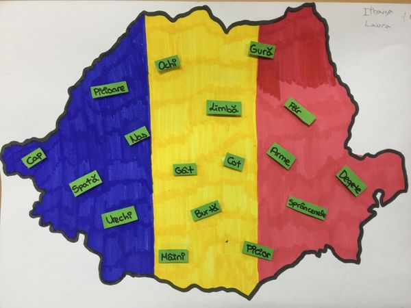 AMT1. LANGUAGE Linguistic Map