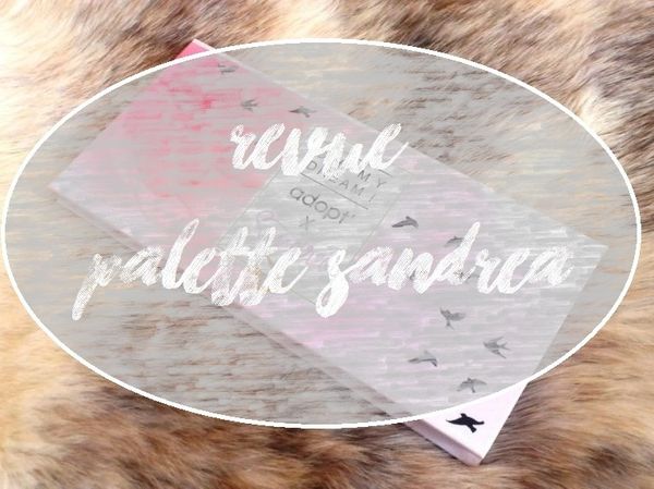 ♥ Revue : Palette Sandréa ♥