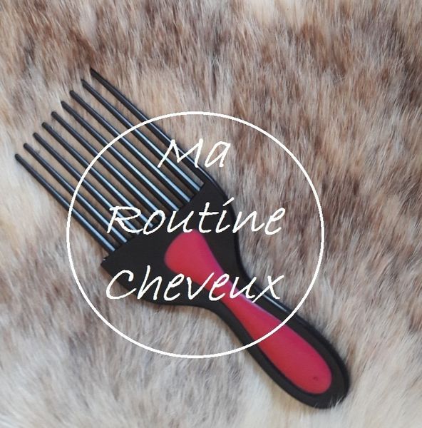 ♥ Ma routine Cheveux ♥