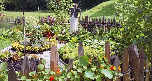 #permaculture