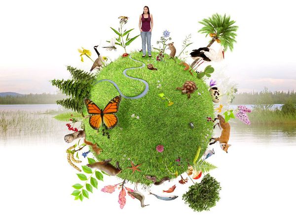 #biodiversite