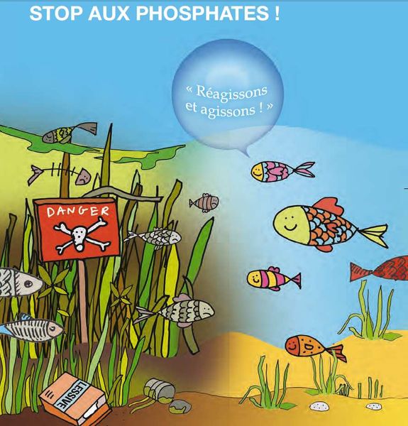 #Phosphate