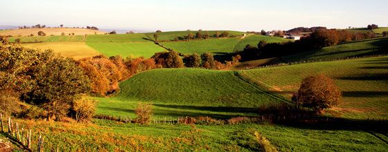 AVANCÉES INACHEVÉES POUR LA BIODIVERSITÉ AGRICOLE