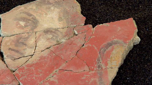 Archéologie