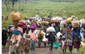 Population de Ngaoundaye