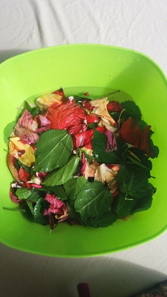 Masque à l'hibiscus