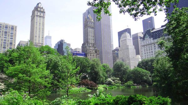 Une française à New York