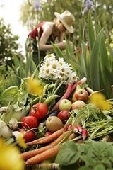 Jardinier