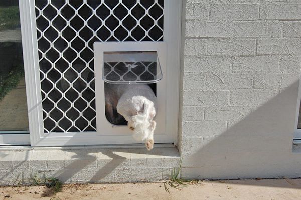 Professional Pet Door Installation Services Melbourne