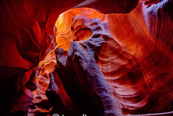 arts et rencontres nomades