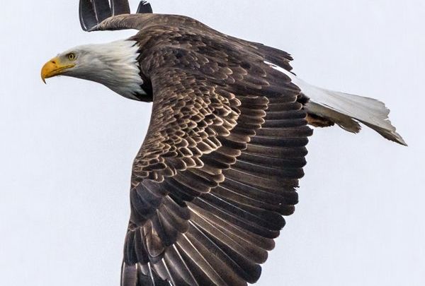 rencontres arts nature