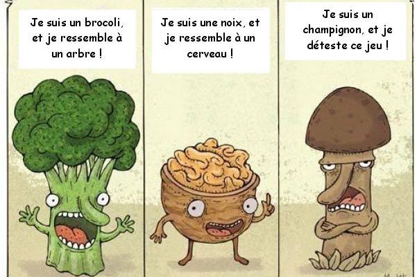Blague, image et video drole 100% Humour