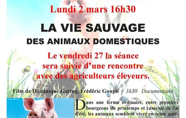 rencontre entre amis des animaux