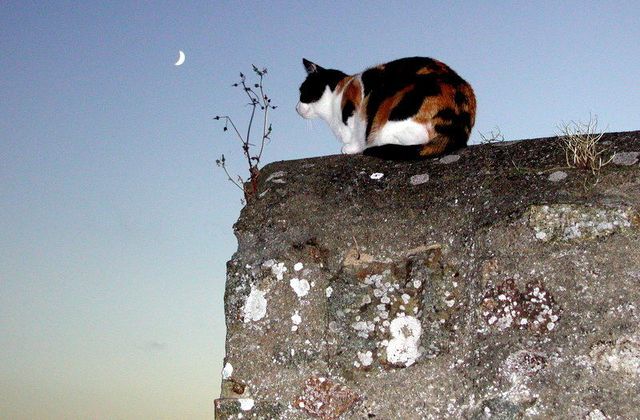 rencontre bouleversante