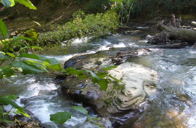rencontres versoix