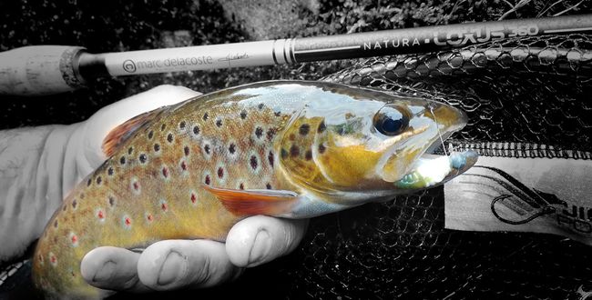 peche truite 92