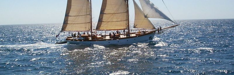 REGATE et VIEUX GREMENTS - Frioul rade de Marseille