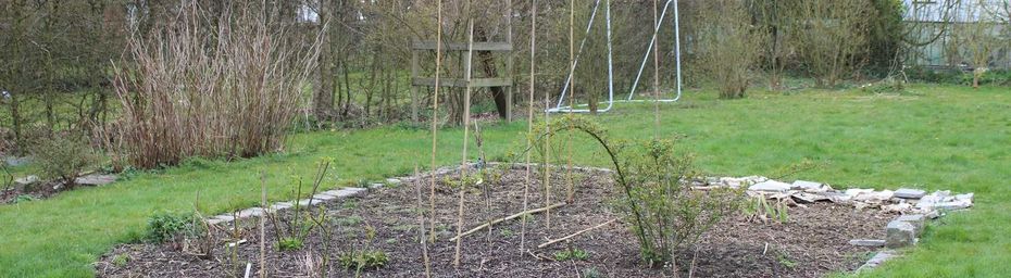 La structure en bois de l'ancien potager
