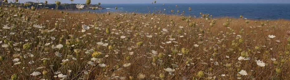 Sinemorets (Sud de la Bulgarie)