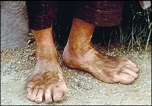 On repart du bon pied*
