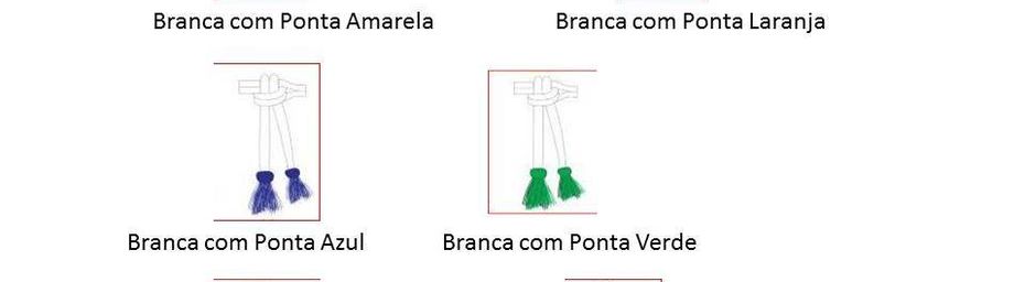 Système de graduation : corde et grade / sistema de graduaçao : roupa e grau.