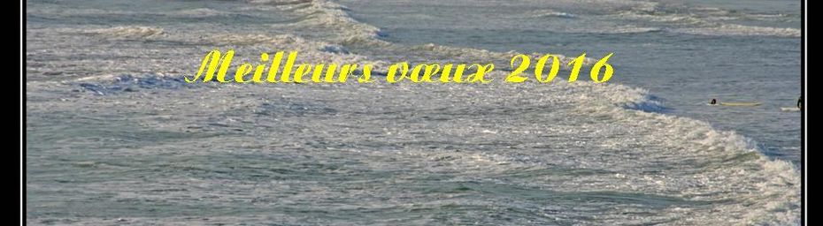 Meilleurs voeux 2016 - Diaporama