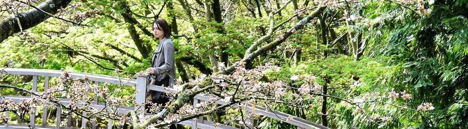 Dans les jardins d'Albert Kahn