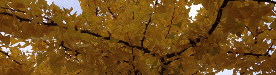 Ciel d'automne...