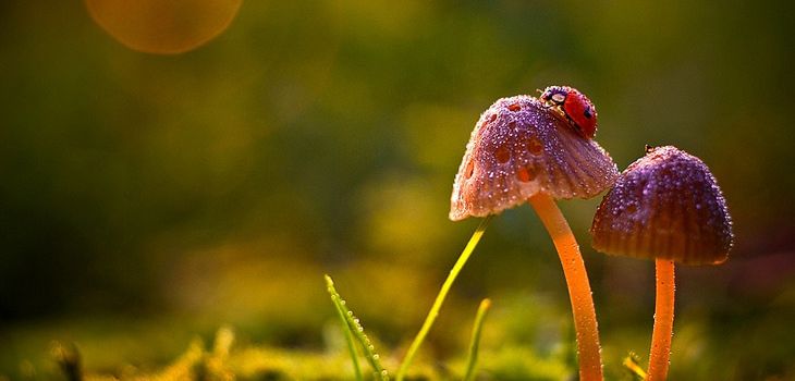 journal du net rencontres