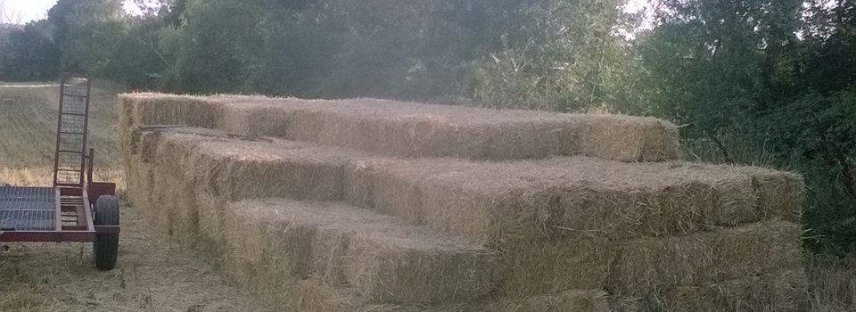 rencontres construction paille