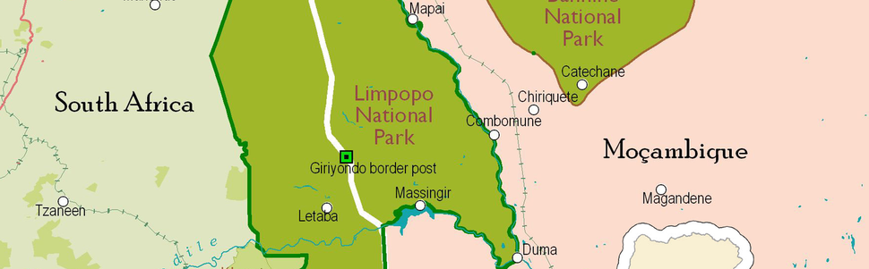 Extermination des derniers rhinocéros du parc du Grand Limpopo