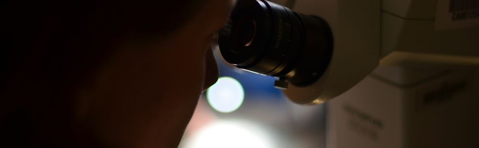 Bruno Lemaitre : « Le système de recherche favorise les personnalités narcissiques »