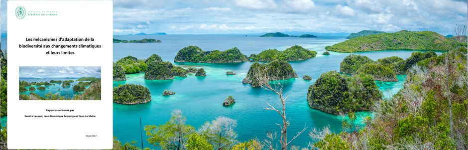 Rapport - Les mécanismes d’adaptation de la biodiversité aux changements climatiques et leurs limites