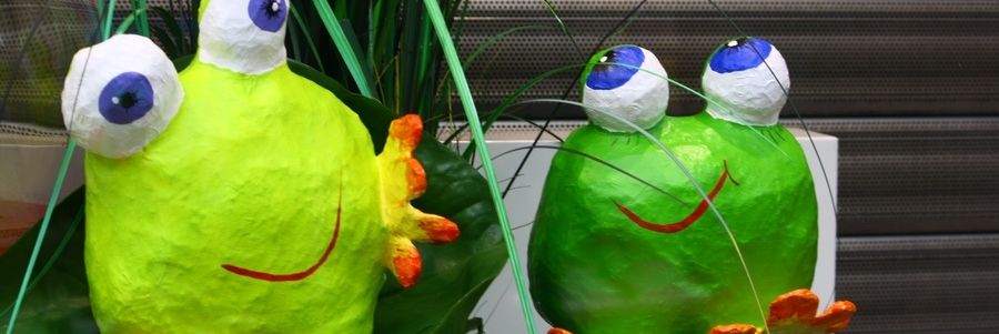 C'est la fête à la grenouille !