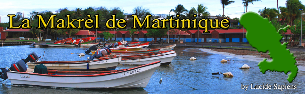 rencontre amis martinique