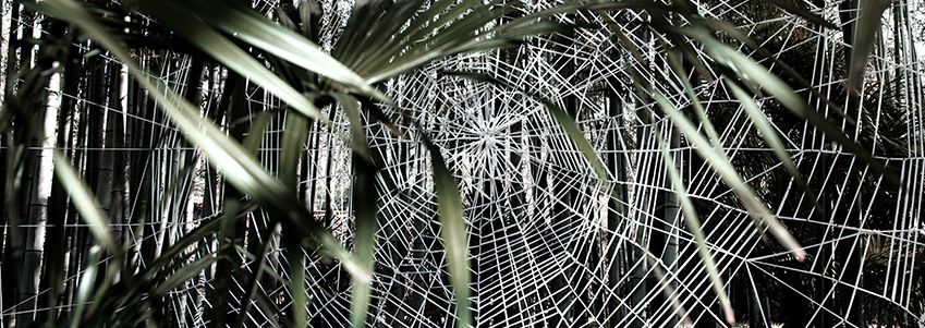 Installation "Ainsi soie fil" Bambouseraie d'Anduze 27 mars 2016 au 15 novembre 2016